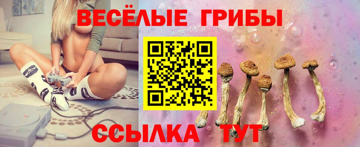 Галлюциногенные грибы Cubensis Ликино-Дулёво